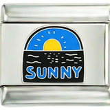 Sunny - Sunny.png
