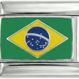 ブラジル国旗、シルバー地